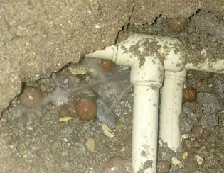 白水卫生间测漏