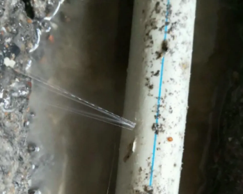 白水卫生间测漏水多少钱