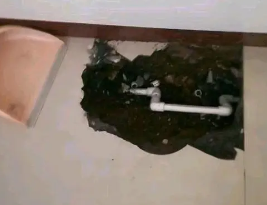 白水卫生间测漏水多少钱